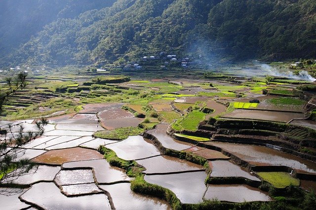 棚田の風景