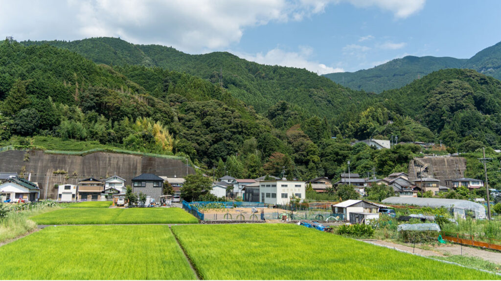 中山間地の農園風景