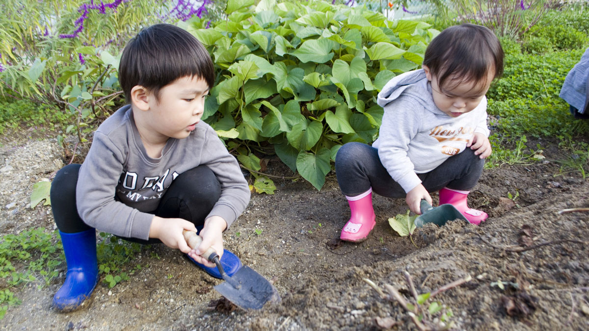 芋掘りする子どもの兄弟