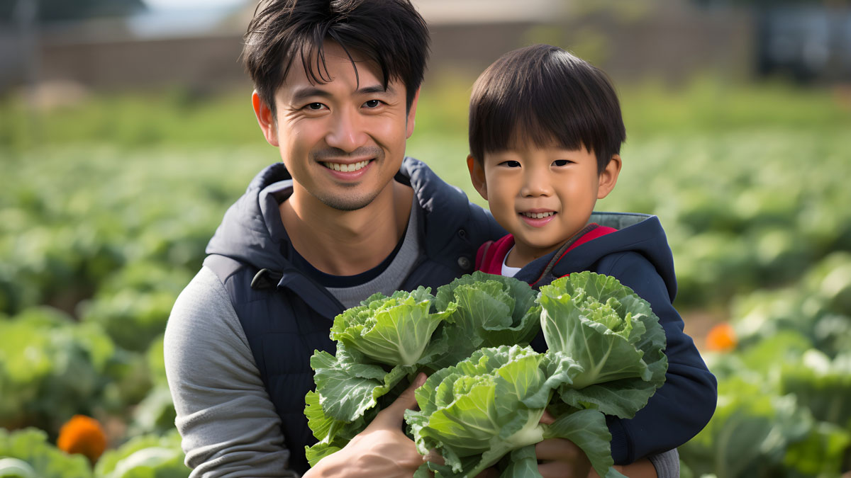 親子でキャベツを収穫