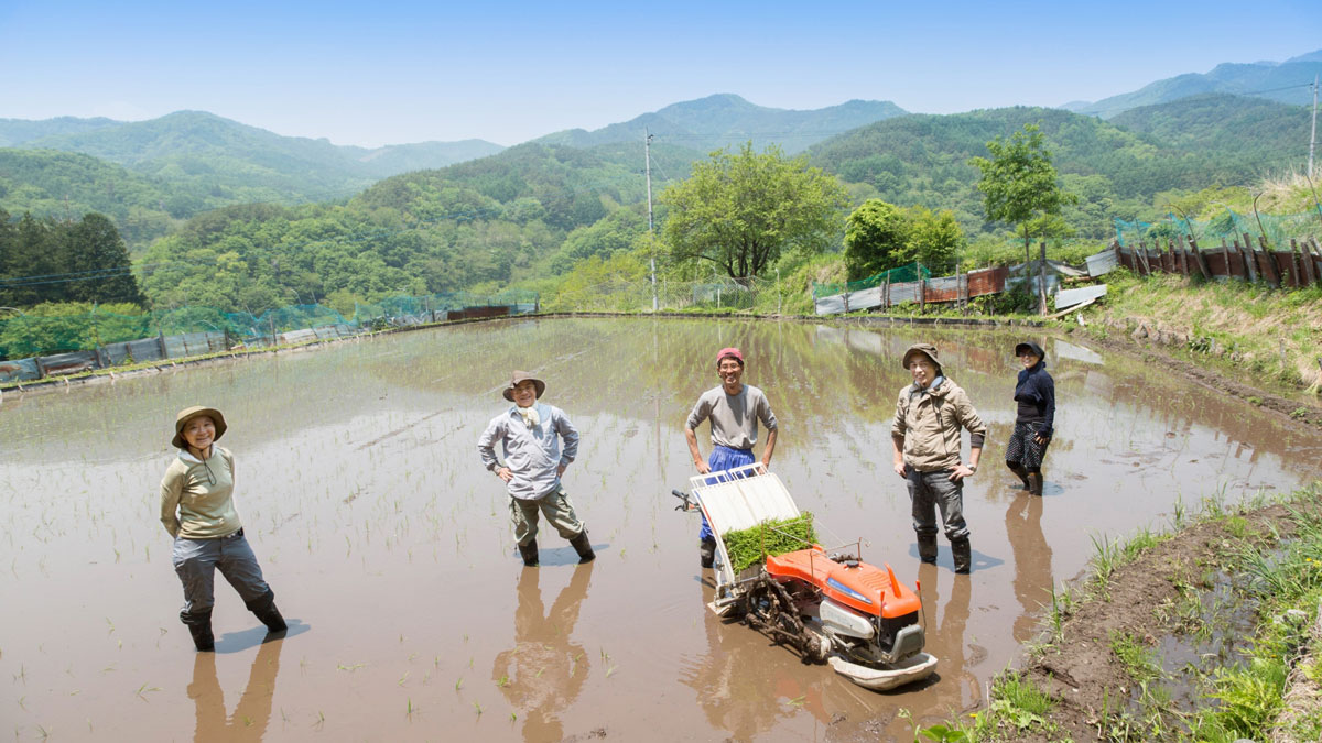 中山間地の棚田での田植え風景