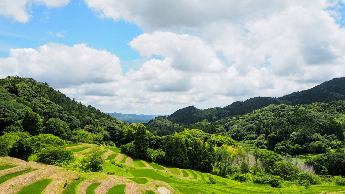 山間地の棚田