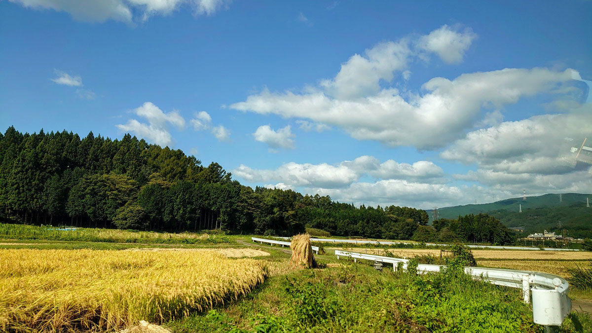 田舎の秋の田んぼ風景