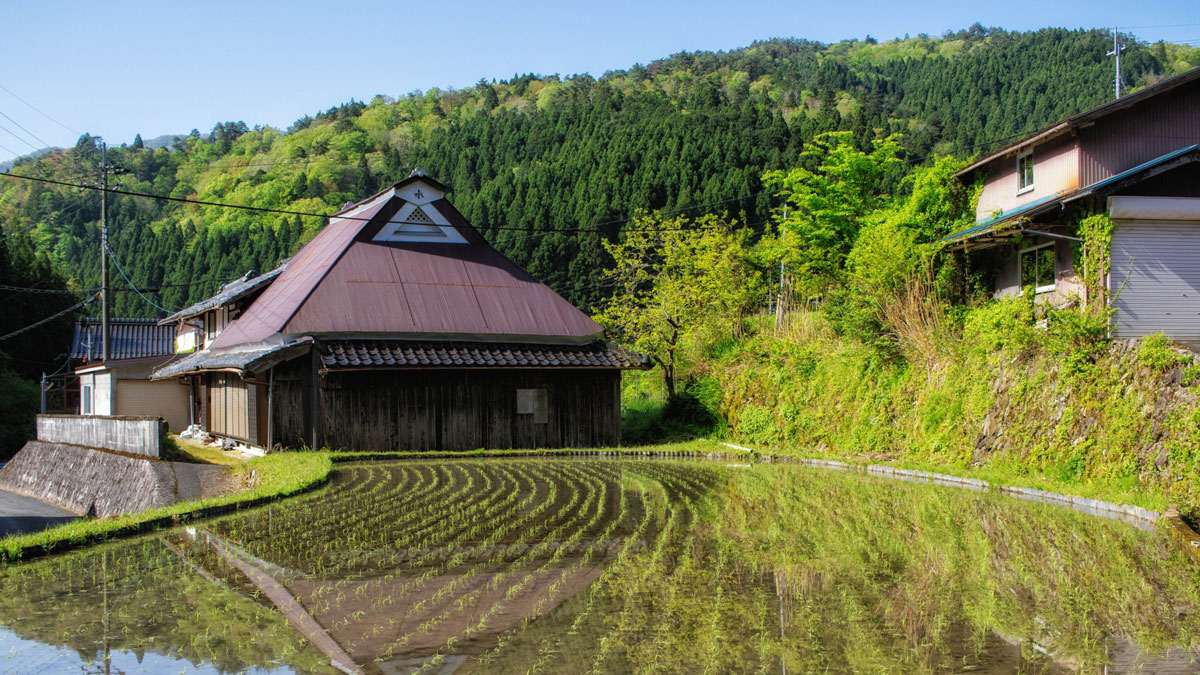 田舎と田んぼの風景