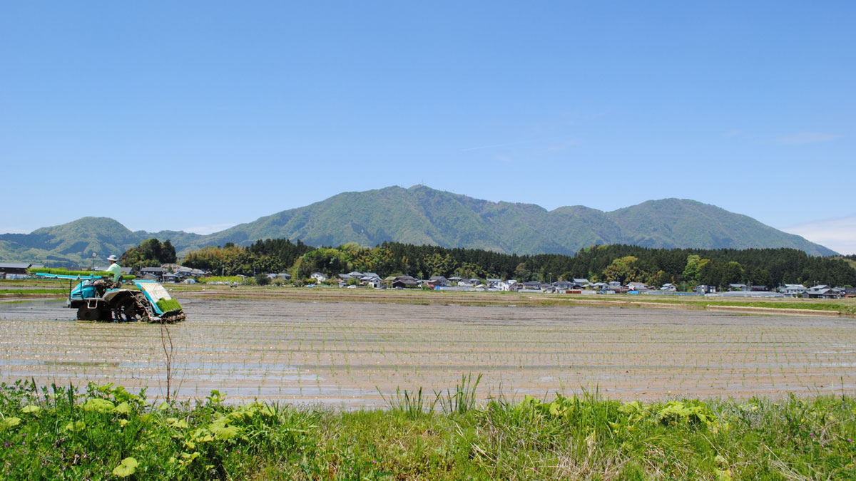 トラクターで田植え