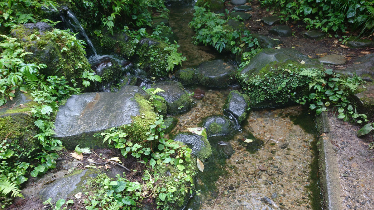 とどの森の湧き水