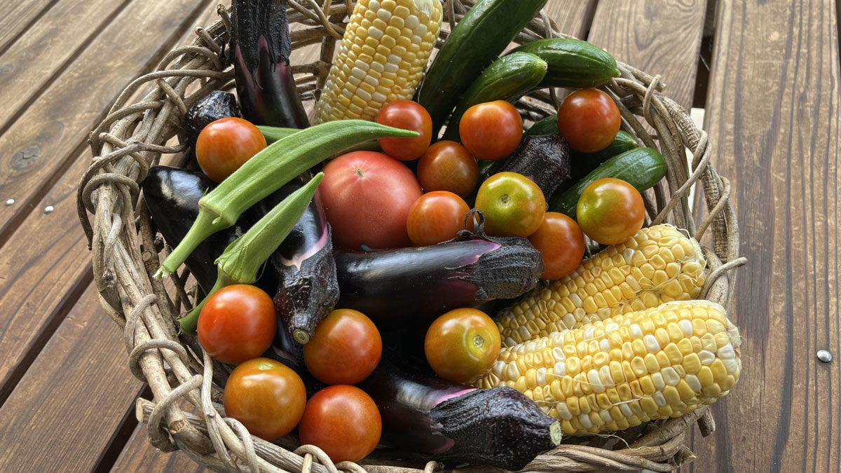 籠に入ったたくさんの野菜