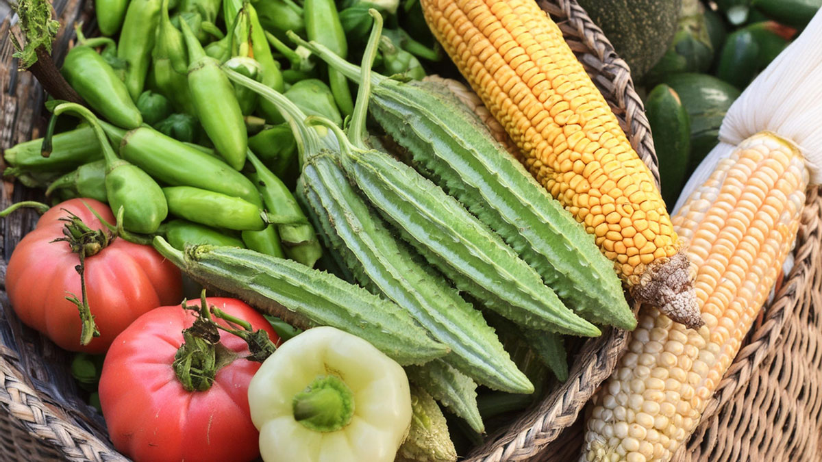 夏の野菜