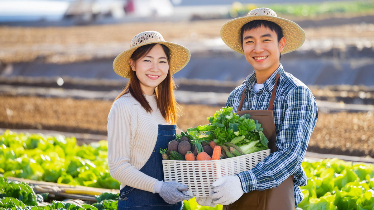 野菜の収穫を二人で持つ夫婦