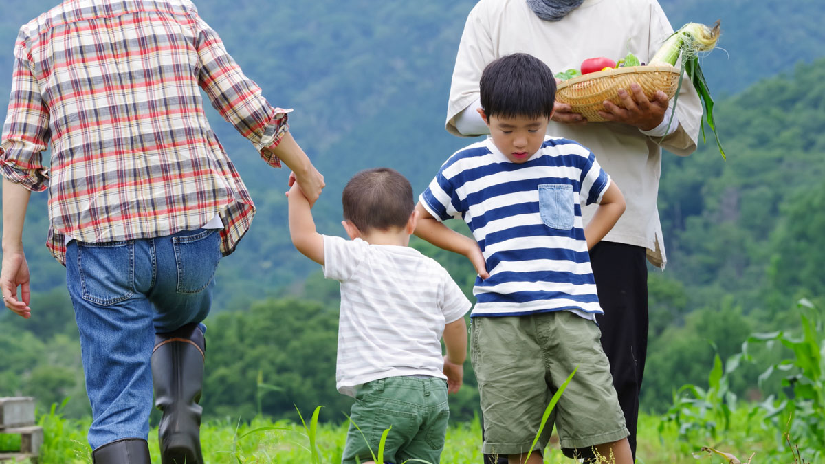 家族で野菜を収穫