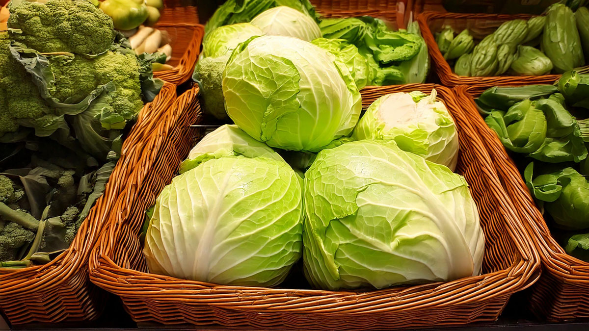 地産地消の販売書に並ぶ野菜