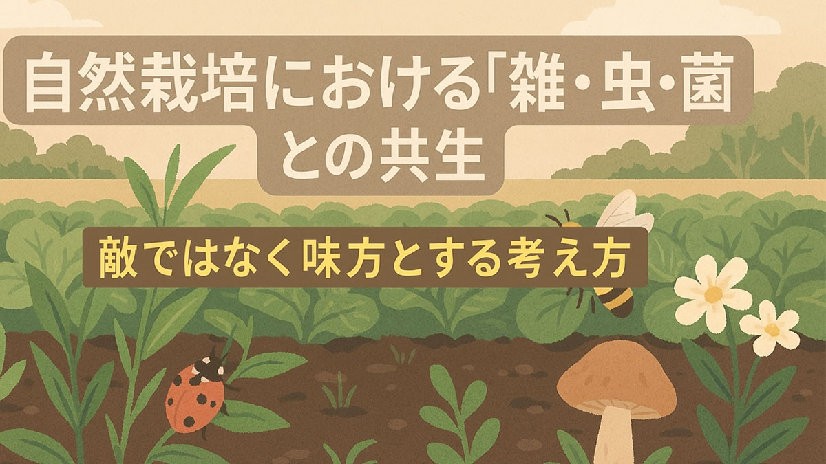 「自然栽培における雑草・虫・菌との共生」をテーマに、優しいナチュラル系配色で描かれた畑のイラスト。雑草、虫、菌が調和して存在し、「敵ではなく味方とする考え方」の日本語テキストが入っている。