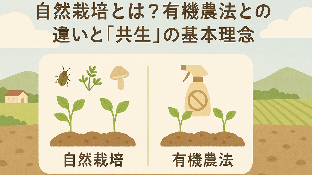 自然栽培と有機農法の違いをやさしいタッチで対比したイラスト。農場風景を背景に、「自然栽培とは？有機農法との違いと『共生』の基本理念」という日本語のテキストが入り、ナチュラル系の配色で描かれている。