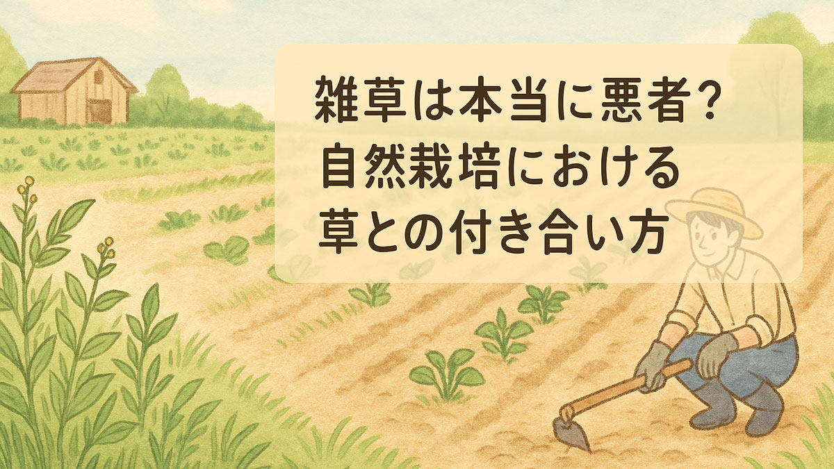 自然栽培の畑で草を敵とせず共に育てる様子を描いた優しい雰囲気のイラスト。緑の雑草が作物の間に自然に生え、農家が穏やかに手入れしている風景に「雑草は本当に悪者？自然栽培における草との付き合い方」という日本語のテキストが入っている。
