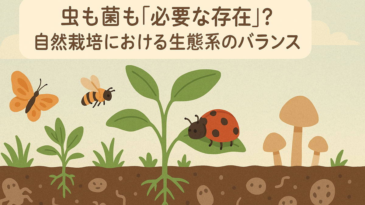 自然栽培における虫や菌が生態系の一部として共存する様子を描いたイラスト。植物のまわりにテントウムシやハチ、蝶、菌類が描かれ、「虫も菌も『必要な存在』？自然栽培における生態系のバランス」という日本語のテキストが入っている。
