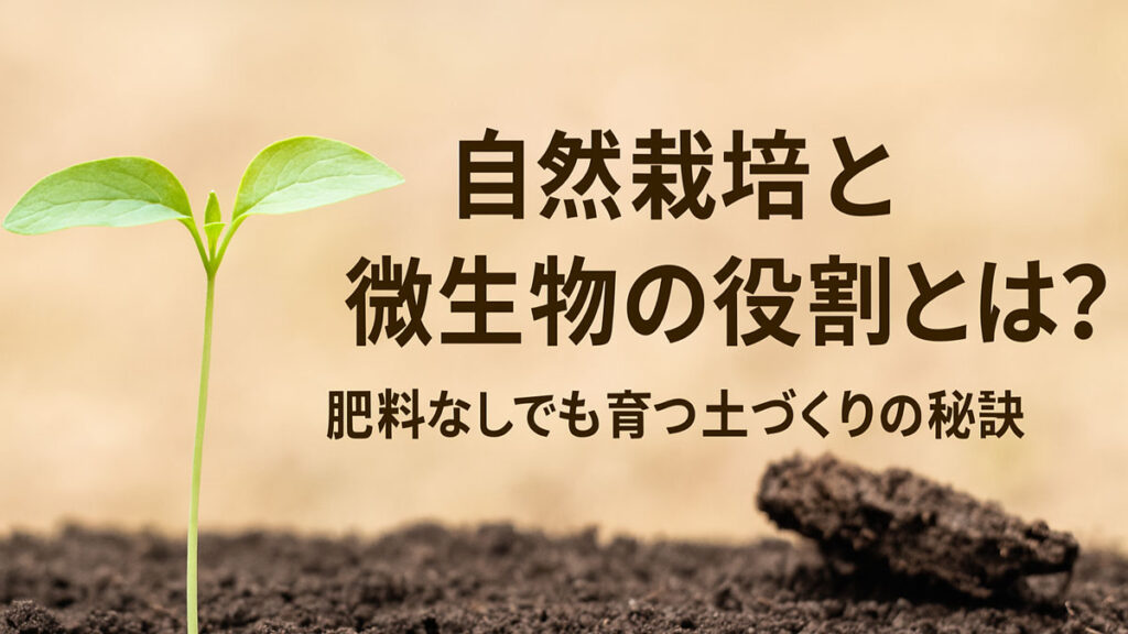 自然栽培で育つ若い芽と土壌の接写写真。日本語で「自然栽培と微生物の役割とは?」と書かれており、ナチュラルな色調で優しい雰囲気のアイキャッチ画像。