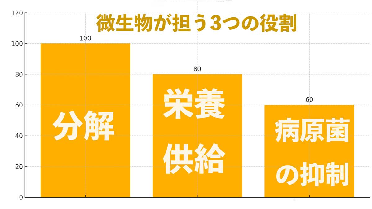 この図は、自然栽培における微生物の多面的な役割を視覚的に伝え、読者が「なぜ微生物が不可欠なのか」を直感的に理解する助けになります。