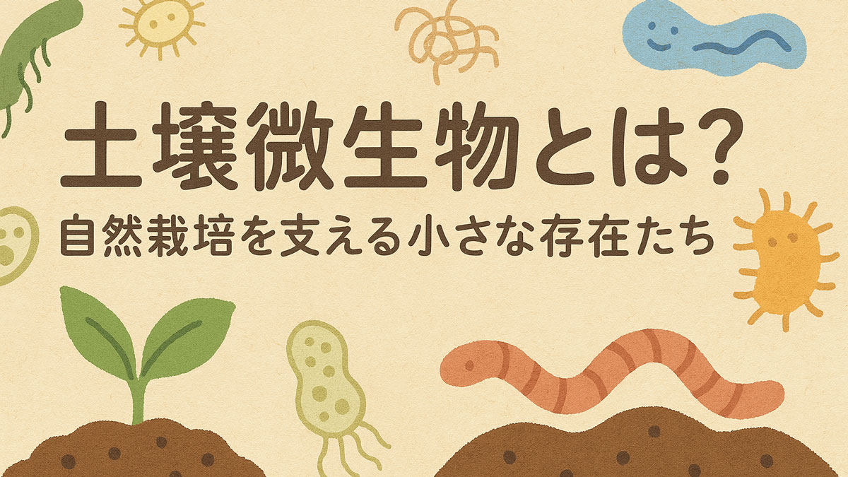 土壌微生物の働きを表現したやさしい雰囲気のイラスト。ナチュラルな背景に、日本語で「土壌微生物とは？」と書かれ、植物や微生物の手描き風アイコンが散りばめられている。