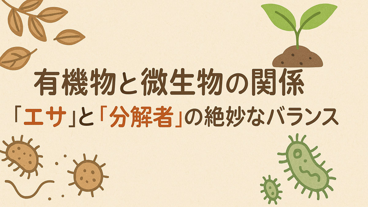 「有機物と微生物の関係｜『エサ』と『分解者』の絶妙なバランス」と書かれた優しいトーンのイラスト。植物や土壌、微生物が描かれ、ナチュラルな配色で調和のとれた構図。
