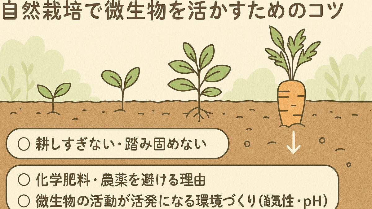 「自然栽培で微生物を活かすためのコツ」と書かれた優しい雰囲気のイラスト。植物の成長過程や土壌の様子が描かれ、ナチュラルな配色で微生物を活かすためのヒントを表現。