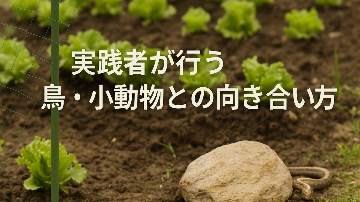 防鳥ネットが張られた畑でレタスが育ち、石のそばにヘビが潜む自然風景。中央に「実践者が行う鳥・小動物との向き合い方」の日本語テキストが配置され、ナチュラルで優しい雰囲気の画像。