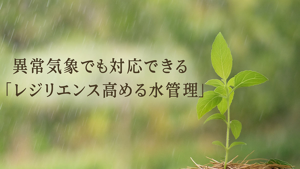 やさしい雨が降る中、若い緑の苗がしっかりと立ち、足元にはマルチングが施されている。「異常気象でも対応できる『レジリエンス高める水管理』」という日本語テキストが中央に配置された、自然で安心感のある画像。
