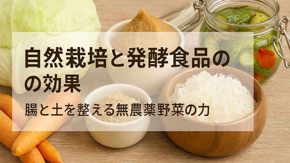自然栽培野菜と発酵食品を組み合わせた健康的な食卓イメージ|キャベツ、人参、味噌、漬物が並ぶナチュラルな雰囲気