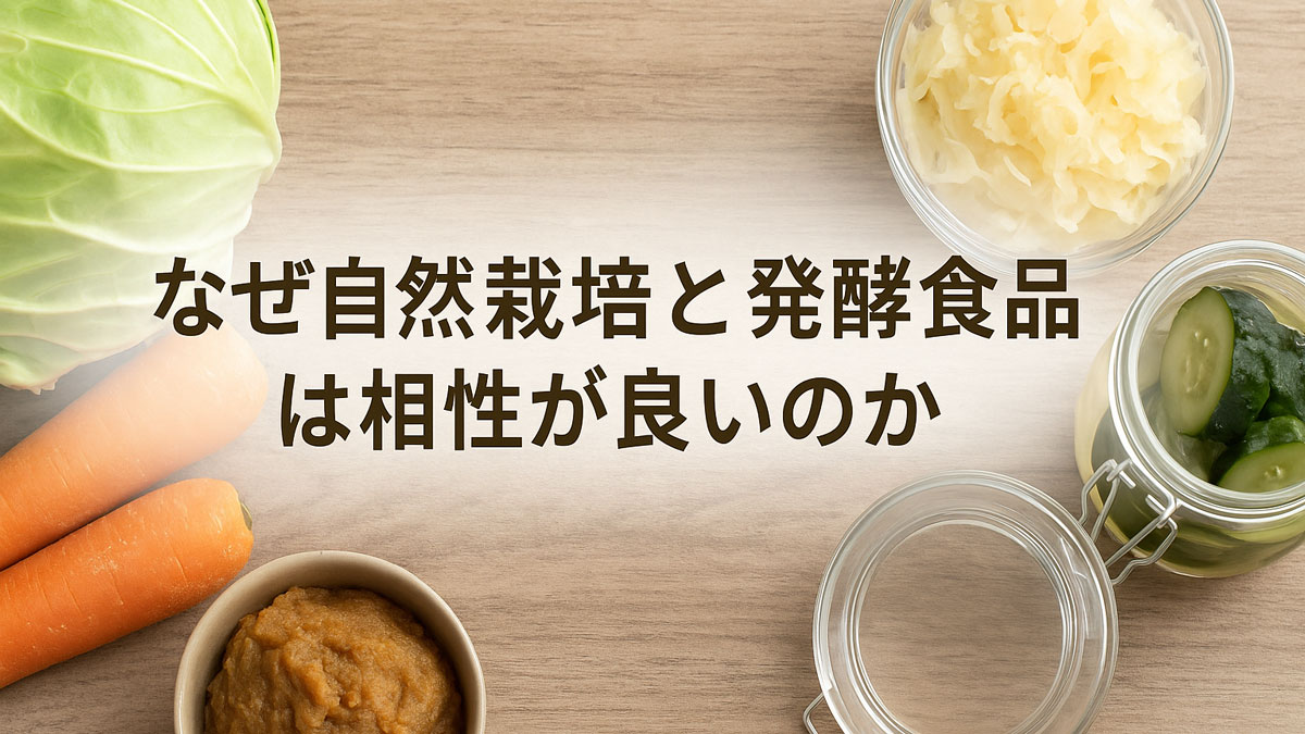 自然栽培野菜と発酵食品が並ぶテーブルに「なぜ自然栽培と発酵食品は相性が良いのか」と書かれた優しい雰囲気の画像