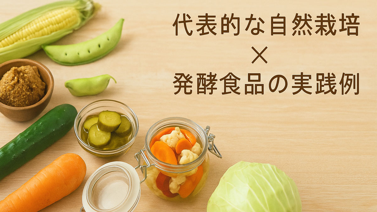 自然栽培の野菜と発酵食品を木のテーブルに並べ、「代表的な自然栽培×発酵食品の実践例」と書かれた優しい雰囲気の画像