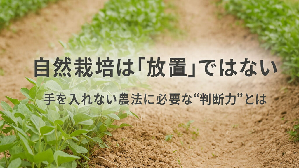 自然栽培は「放置」ではない|手を入れない農法に必要な“判断力”とは