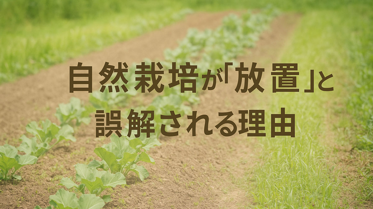 自然栽培が「放置」と誤解されやすい理由を伝える、手入れされていないように見える畑の風景イメージ