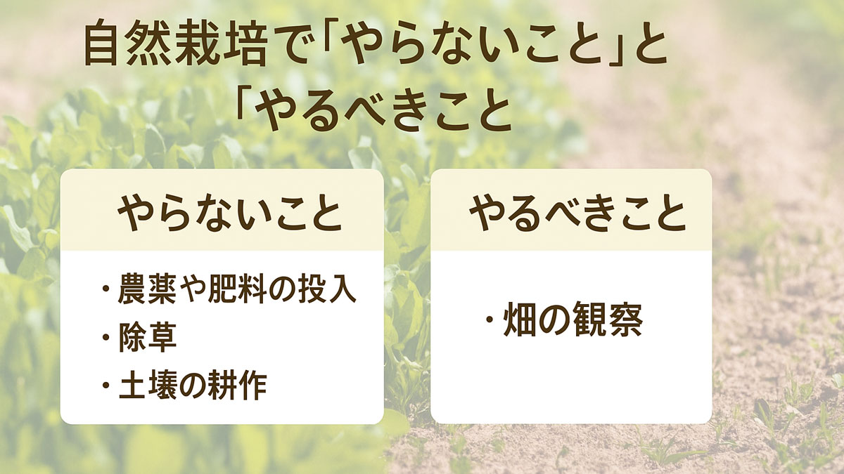 自然栽培で「やらないこと」と「やるべきこと」を対比して示した、判断力の重要性を伝える図解イメージ