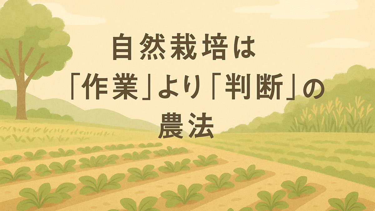 自然栽培は作業より判断が重要であることを表現した、無農薬農法の考え方を伝えるイラスト