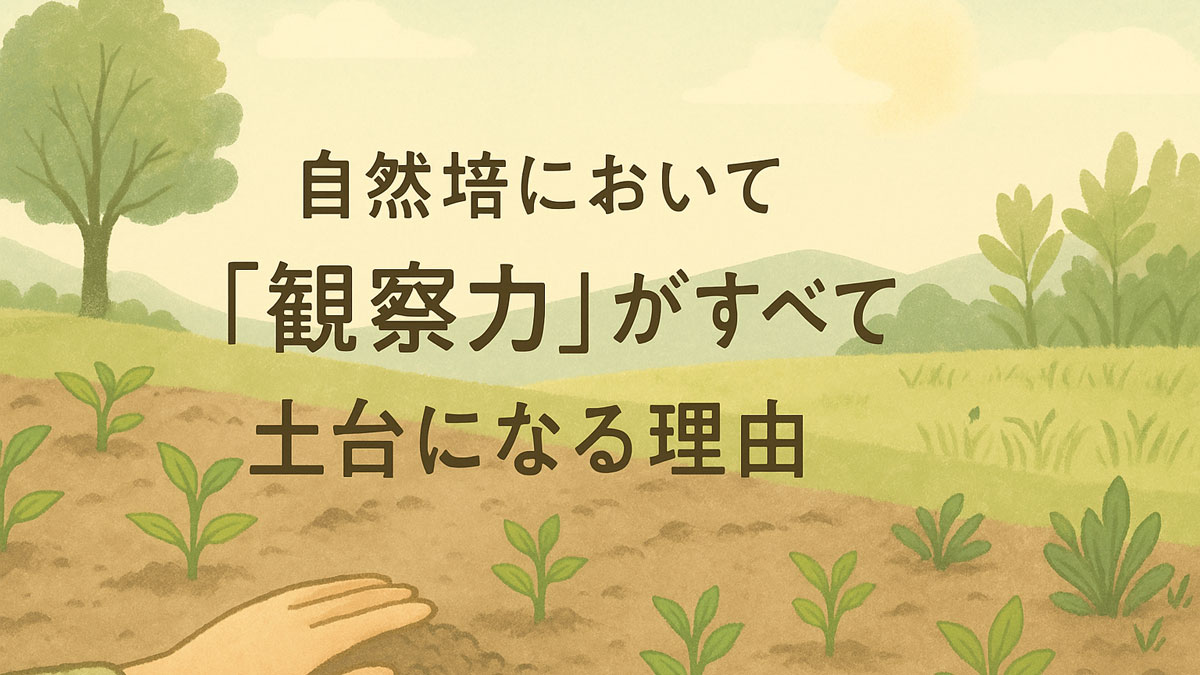自然栽培の畑で芽吹く作物と土に手を添えて状態を確かめる様子を、ナチュラルな色合いで描いたイラスト。中央に「自然栽培において『観察力』がすべての土台になる理由」という日本語テキストが配置されている。