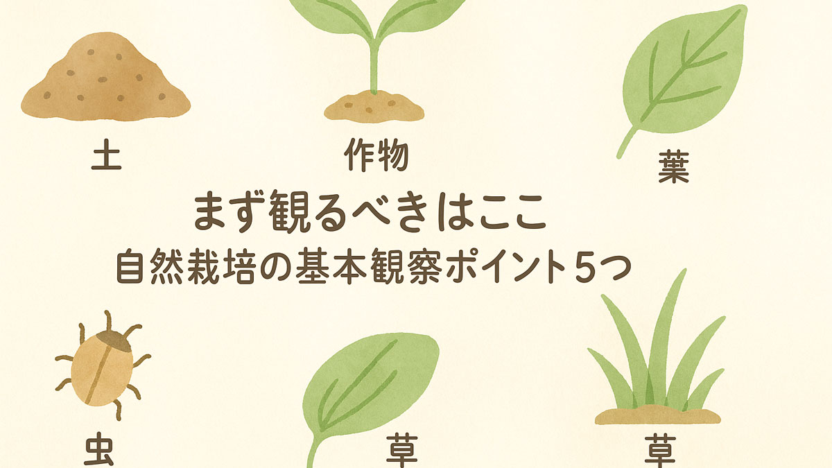 自然栽培でまず観るべき基本観察ポイントを示したイラスト。土・作物・葉・虫・草の5要素をナチュラルな配色で描き、中央に「まず観るべきはここ｜自然栽培の基本観察ポイント5つ」という日本語テキストが配置されている。